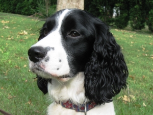 Molly