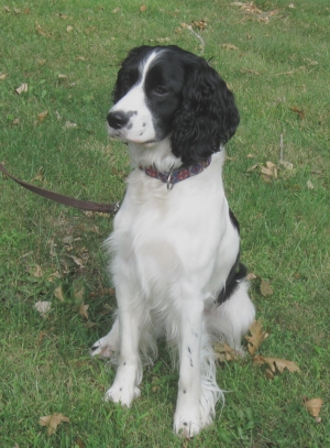 Molly