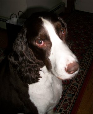 Hobbs