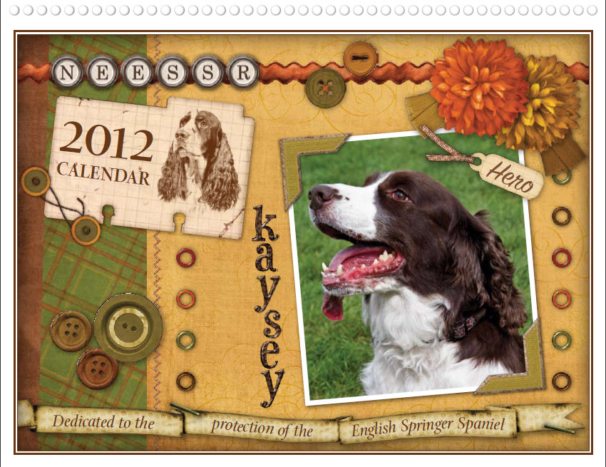 Calendar Cover